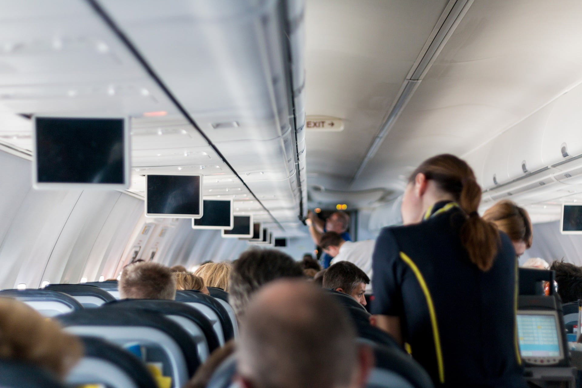 flight attendants