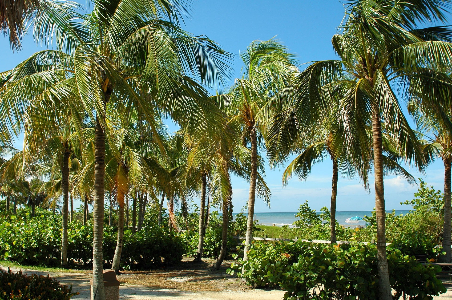 things to do in Key Largo