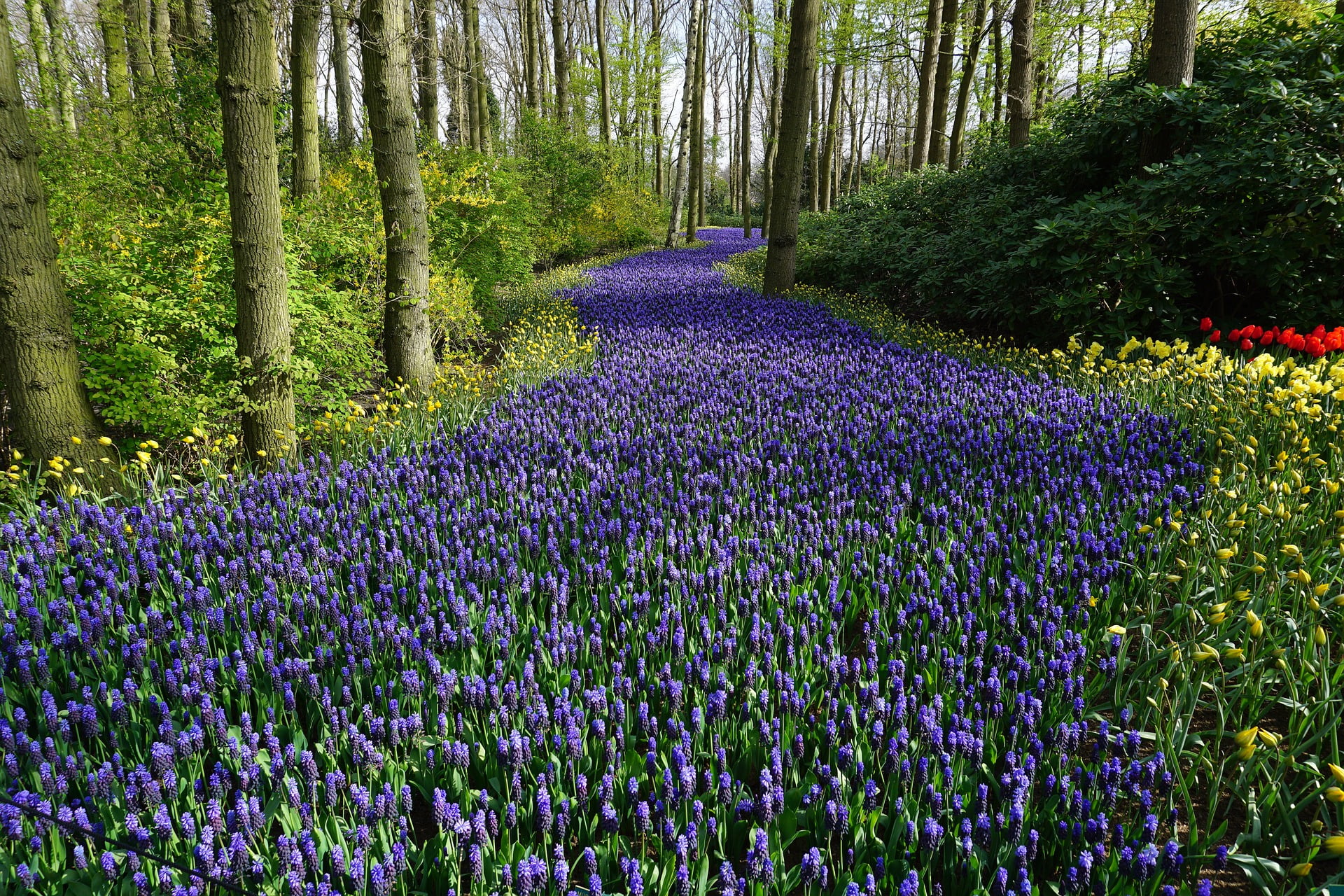 Holland's nature