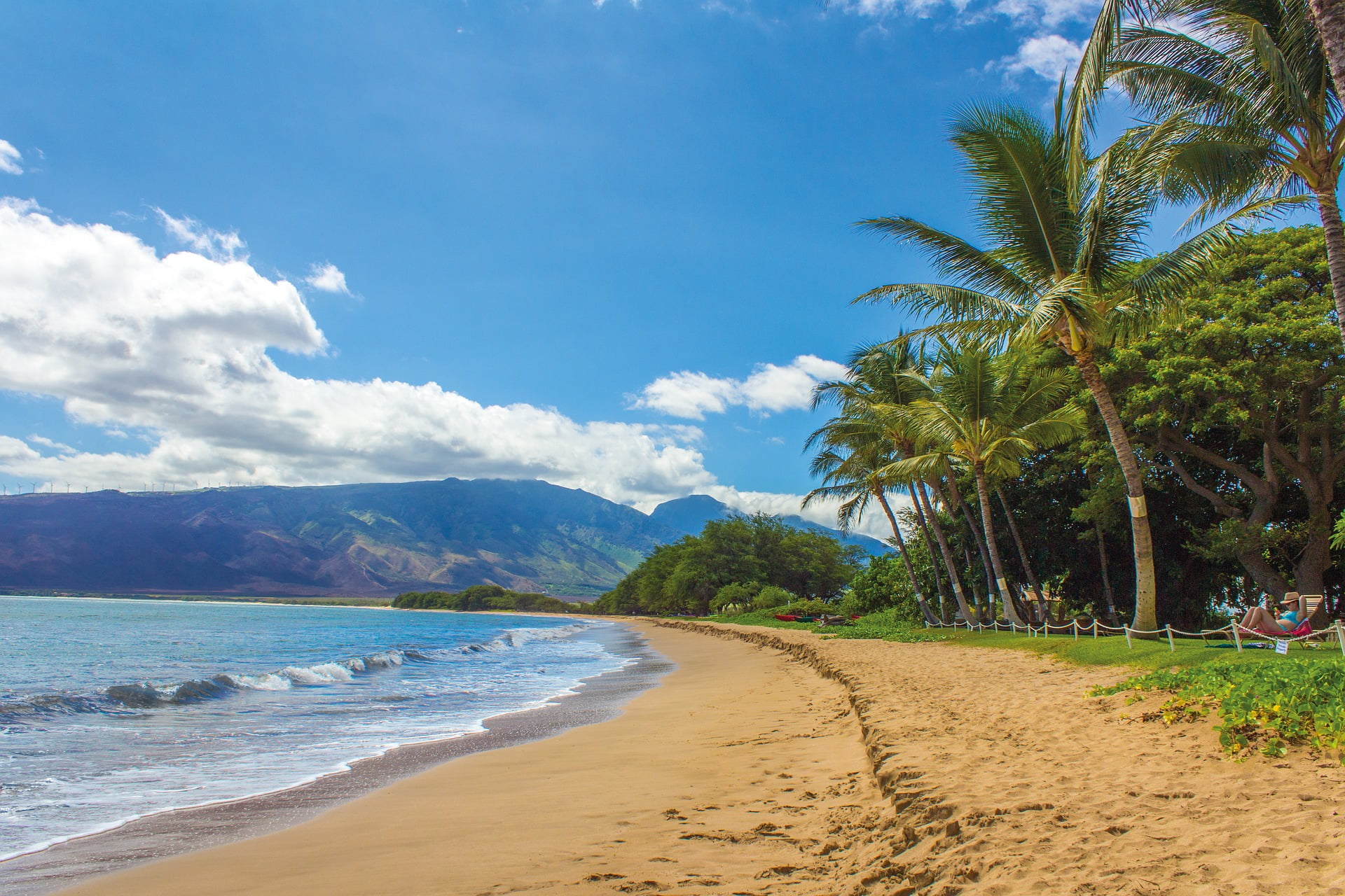 PCR tests in Maui