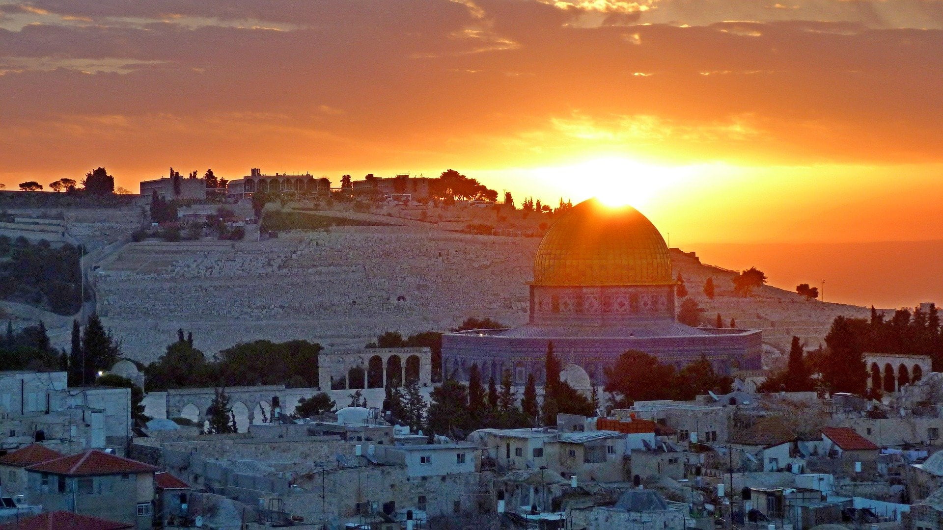 PCR tests in Jerusalem