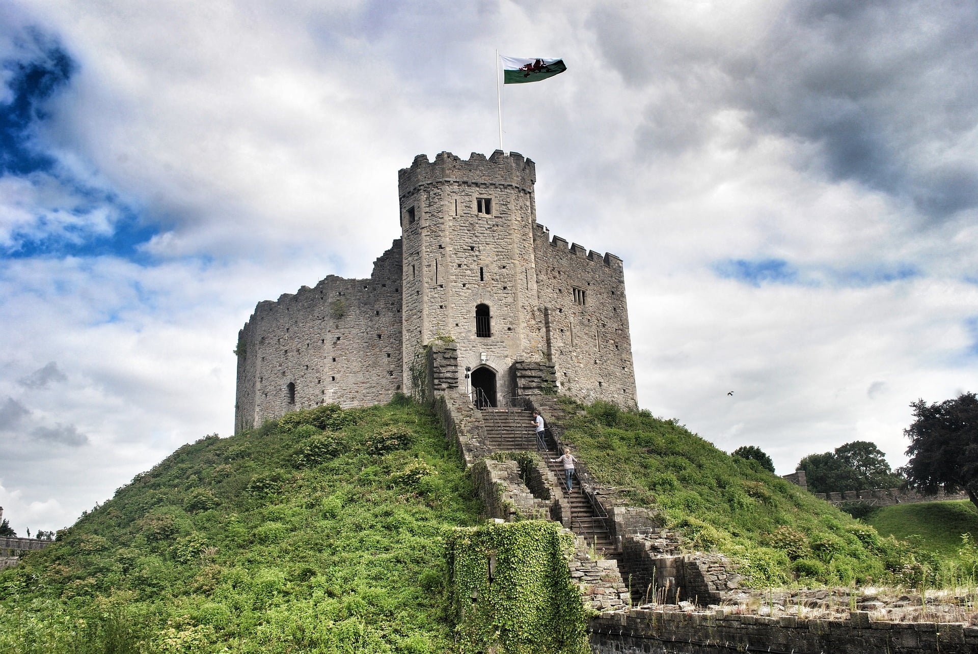 PCR tests in Cardiff